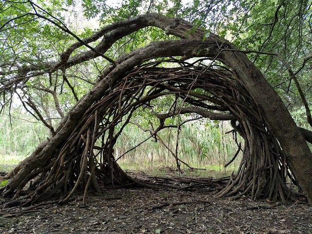 Colorado River Park Wildlife Sanctuary